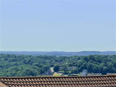 Picture 38